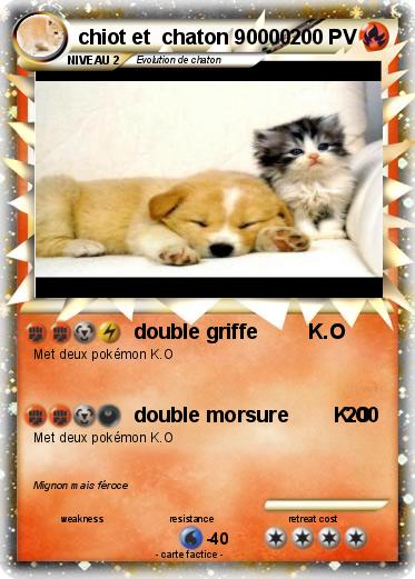 Pokemon chiot et  chaton 90000
