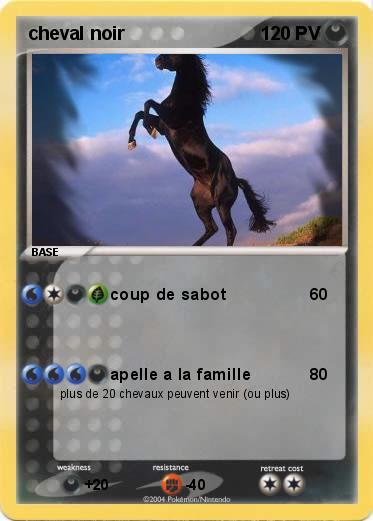 Pokemon cheval noir