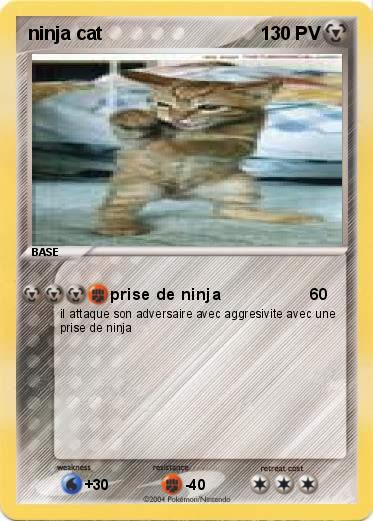 Pokemon ninja cat