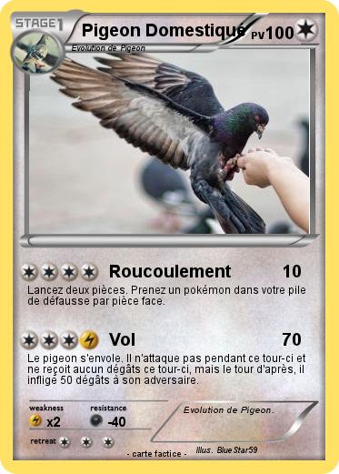 Pokemon Pigeon Domestiqué