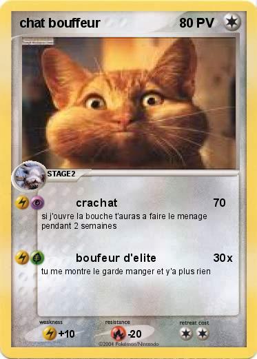 Pokemon chat bouffeur