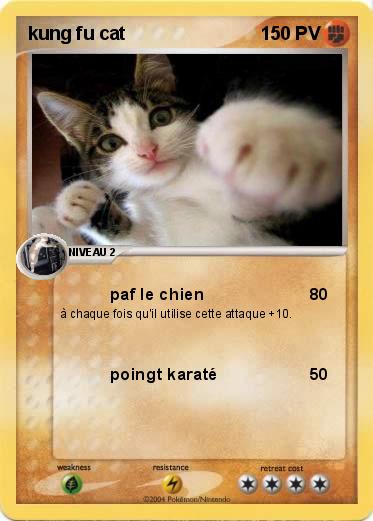 Pokemon kung fu cat