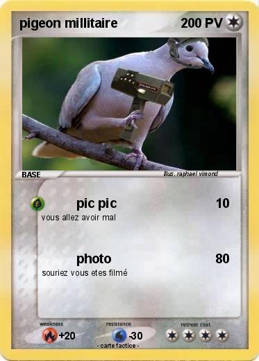 Pokemon pigeon millitaire