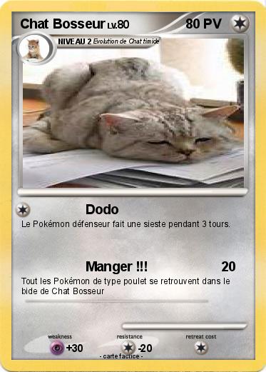 Pokemon Chat Bosseur