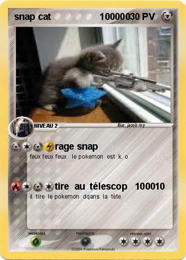 Pokemon snap cat                   100000