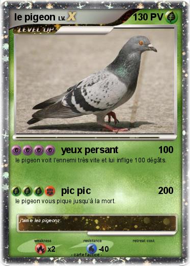 Pokemon le pigeon