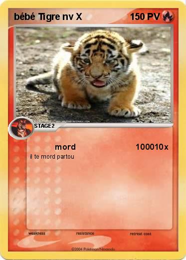 Pokemon bébé Tigre nv X