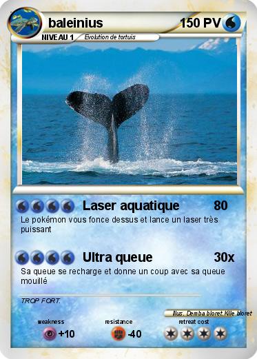 Pokemon baleinius