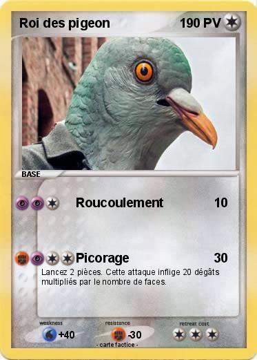Pokemon Roi des pigeon