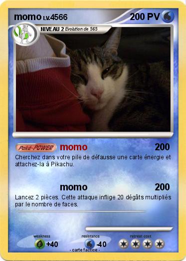 Pokemon momo