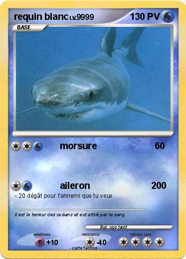 Pokemon requin blanc