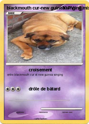 Pokemon blackmouth cur-new guinea singing mix