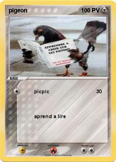 Pokemon pigeon 