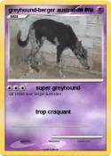 greyhound-berge