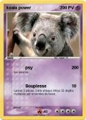 koala power