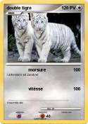 double tigre