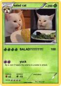 salad cat