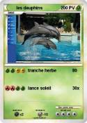 les dauphins