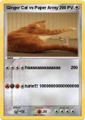 Ginger Cat vs