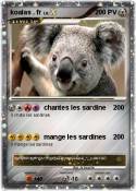 koalas . fr