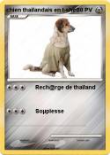 chien thaïlandai