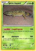 gecko léopard