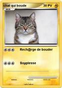 chat qui boude