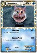 Chat-requin