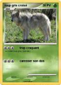 loup gris crois