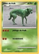 chien du Hulk