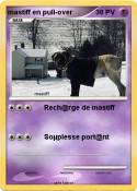 mastiff en pull