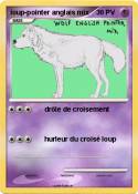 loup-pointer