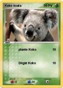 Koko koala