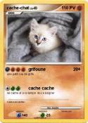 cache-chat