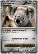 koala petteur