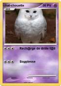 chat-chouette