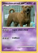 chow-chow-pit-b