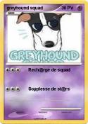 greyhound squad