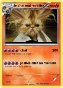le chat mal