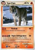 Tiger-Flam