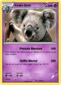 Koala Divin