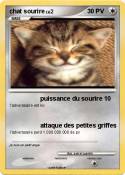 chat sourire