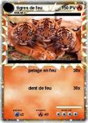 tigres de feu