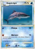 Requin-tigre