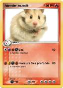 hamster musclé