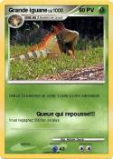 Grande iguane