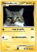 chat-touille