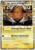 tiger electic