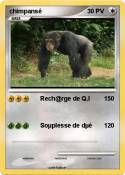 chimpansé