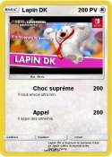Lapin DK